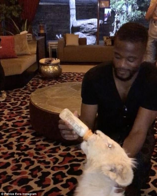 Marseille defender Patrice Evra has made his presence felt on social media lately