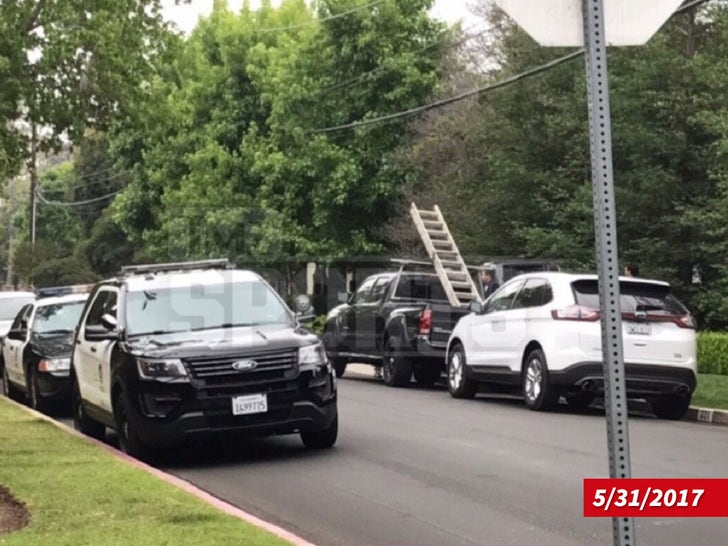 LeBron James' L.A. Home Vandalized -- Cops at the House