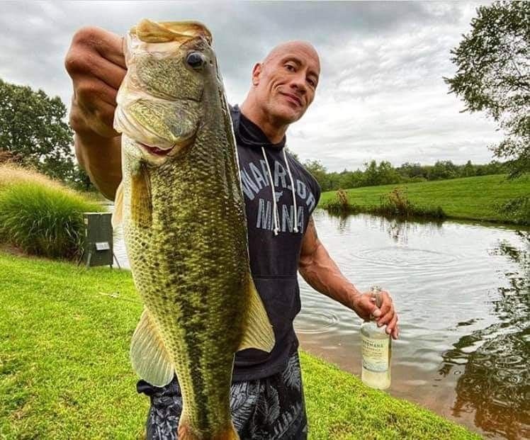 Fish: 1, Dwayne: 0”: Priceless Scenes as 'The Most Electrifying Fish' Makes  $800M Dwayne Johnson a Laughing Stock on the Internet - EssentiallySports