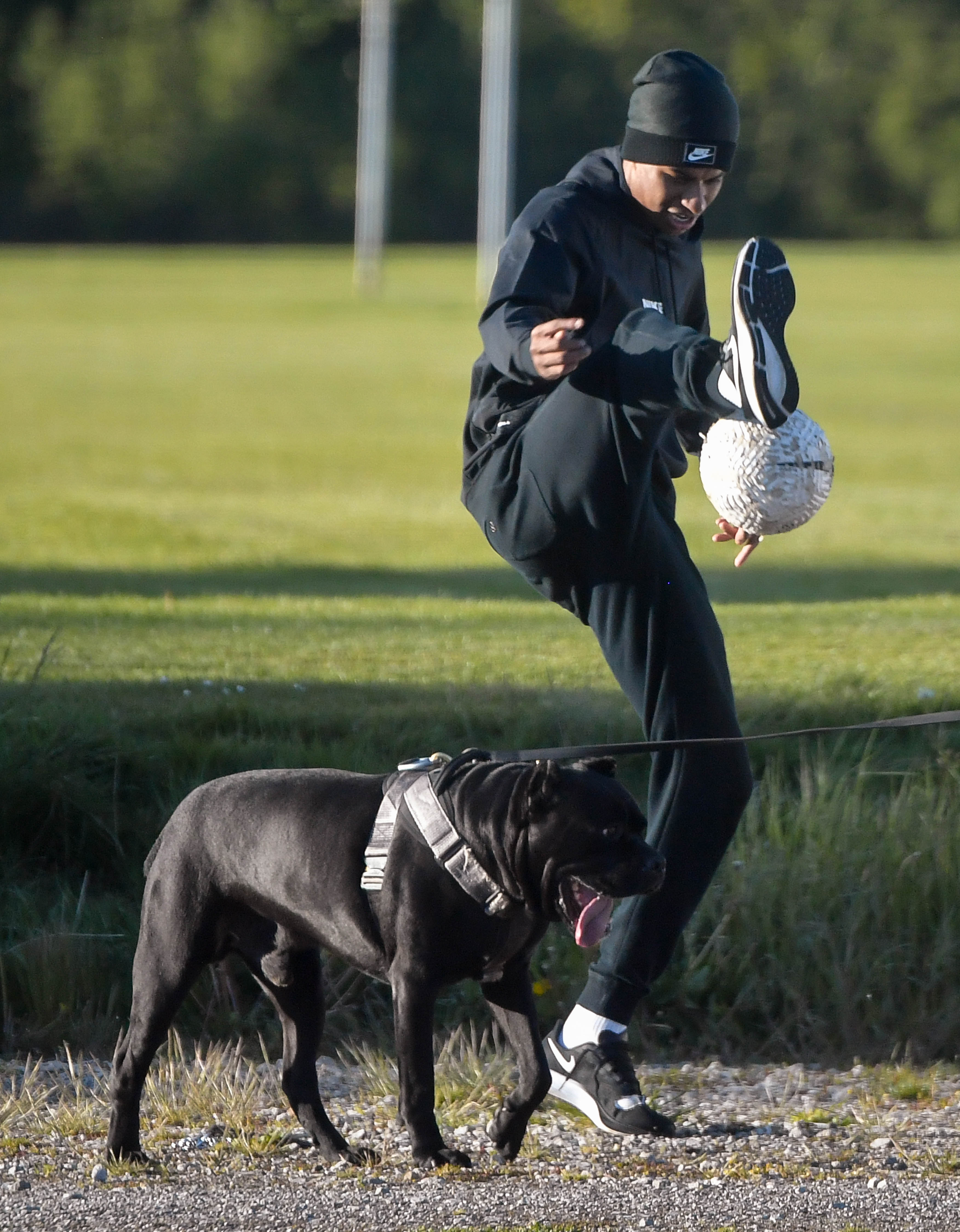 Footie star Marcus Rashford was spotted with his dogs for a walk in a Cheshire park