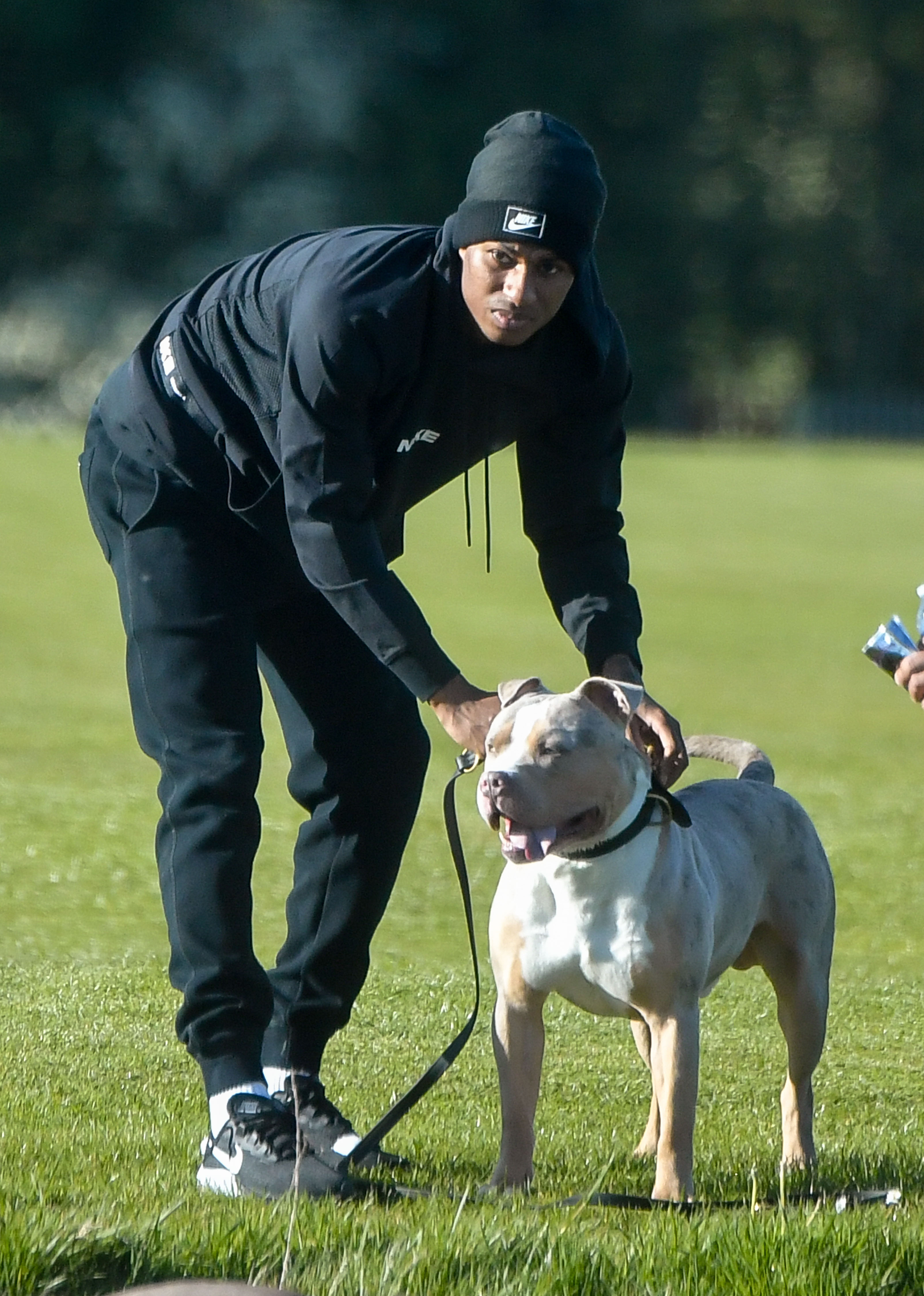 The Man United striker, 23, took Cane Corso Saint and another of his pooches for a kickabout