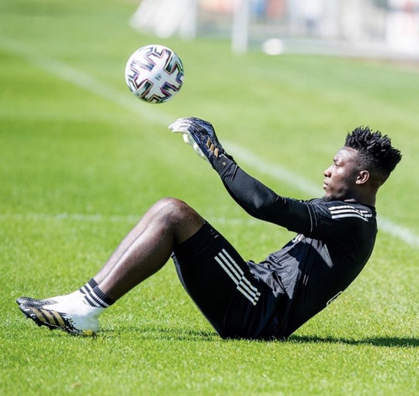 Goalkeeper Gloves on X: "Andre. #onana #ajax @adidas #goalkeepergloves  https://t.co/regiWENjBL" / X