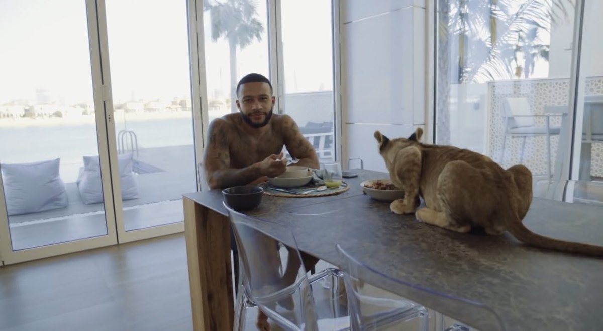 LION KING: Memphis Depay plays and poses with the Liger despite the warnings about ex-Man Utd star's pet - A mini animal that cross between a tiger and lion