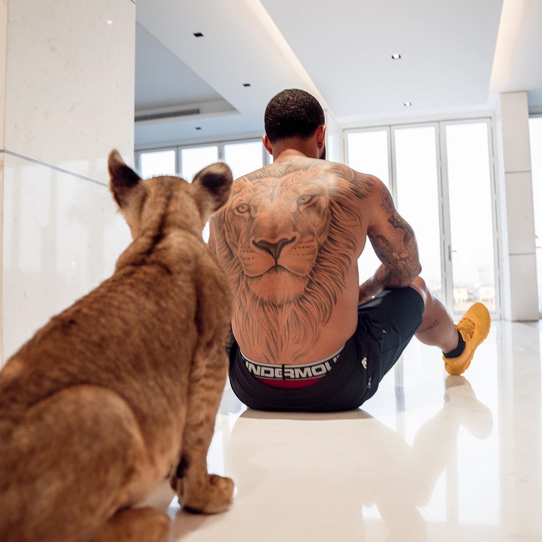 LION KING: Memphis Depay plays and poses with the Liger despite the warnings about ex-Man Utd star's pet - A mini animal that cross between a tiger and lion