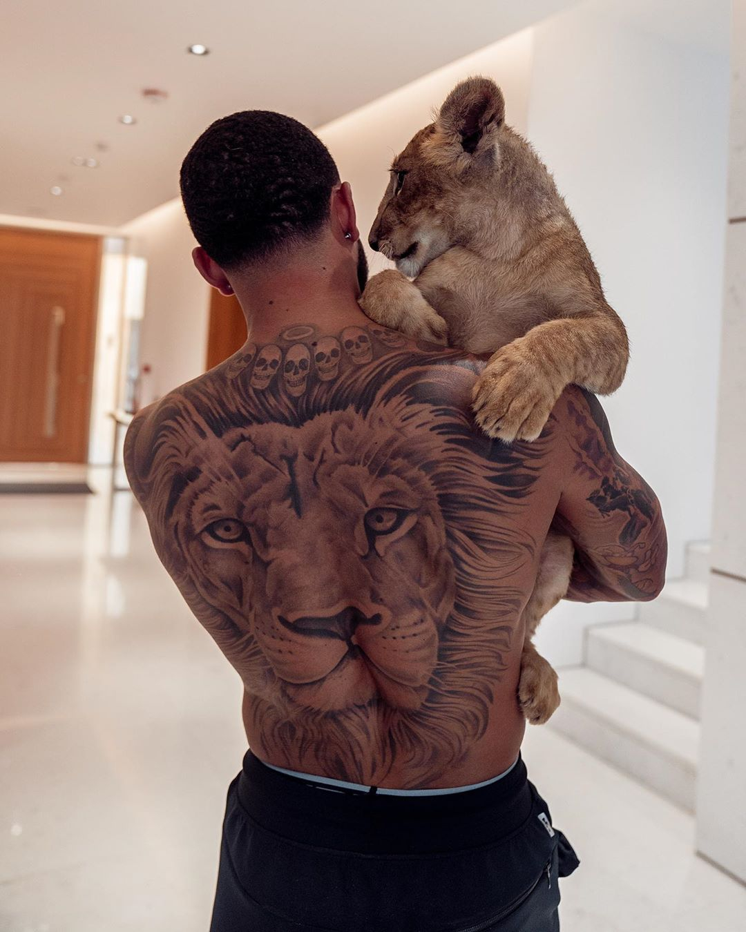 LION KING: Memphis Depay plays and poses with the Liger despite the warnings about ex-Man Utd star's pet - A mini animal that cross between a tiger and lion