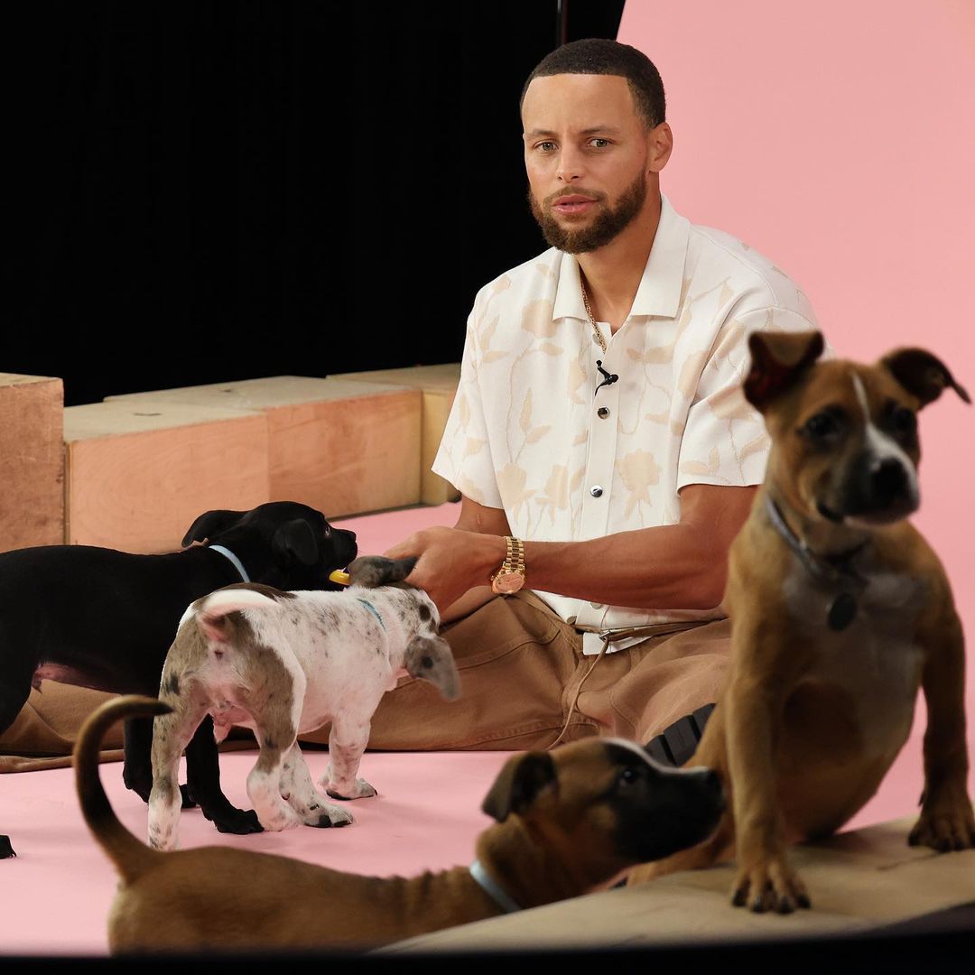 Stephen Curry shows his love for animals when he adopts stray dogs and builds houses for them