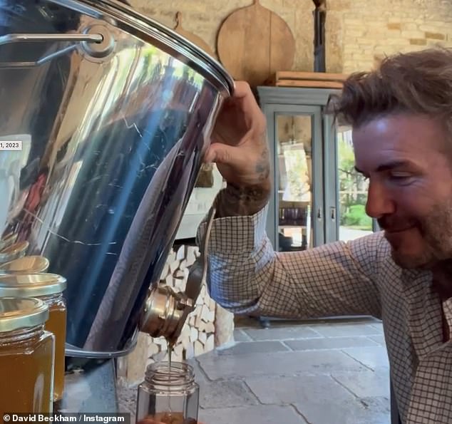 Sweet as honey: David uses the garden for his bees and produces his own honey