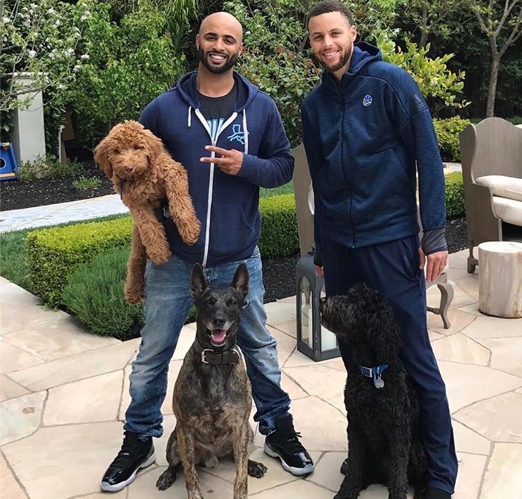 Stephen Curry | Dog behaviorist, Dog training, Dog trainer