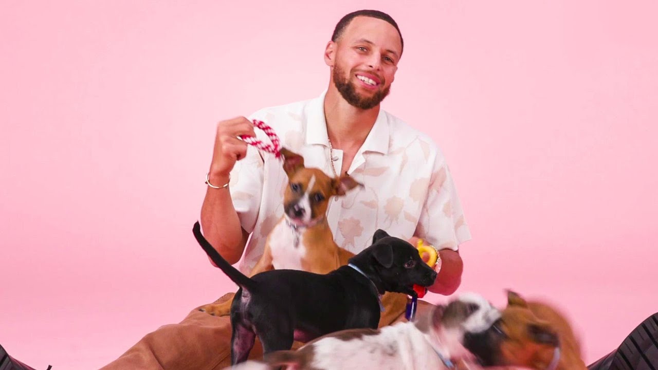 Stephen Curry: The Puppy Interview - YouTube