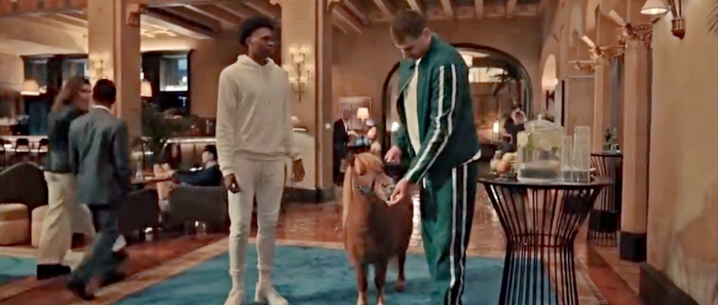 Please Enjoy Nikola Jokic Starring In A Commercial With A Pony