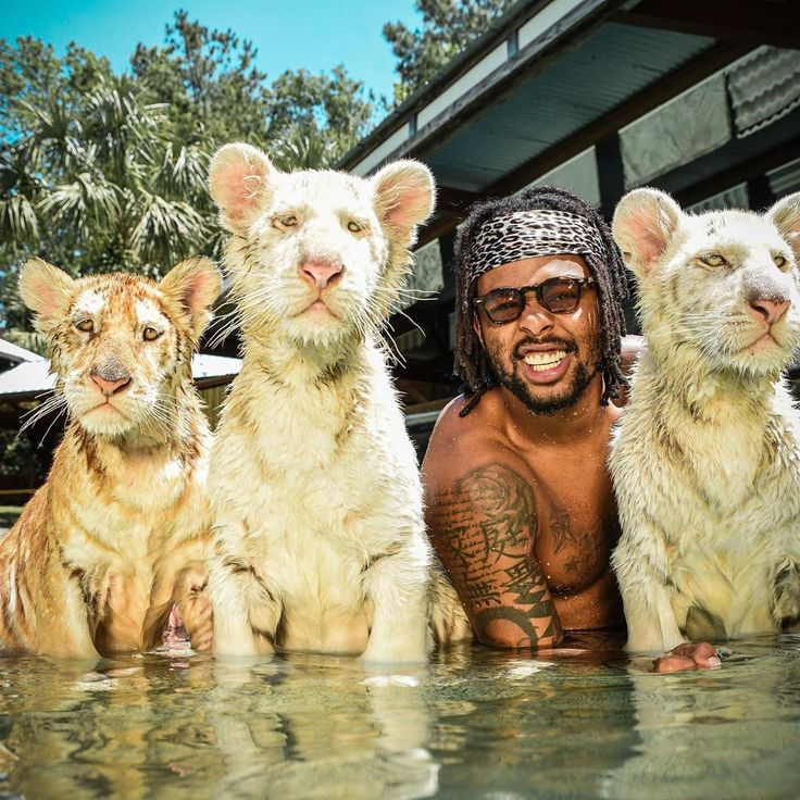 D'Angelo Russell with Adorable White Tiger Cubs