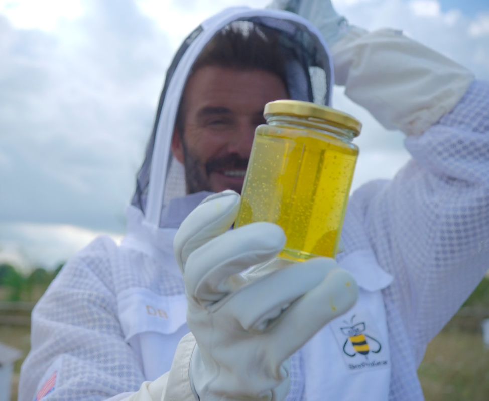 David Beckham's Iconic Bee Garden — Salisbury Grange