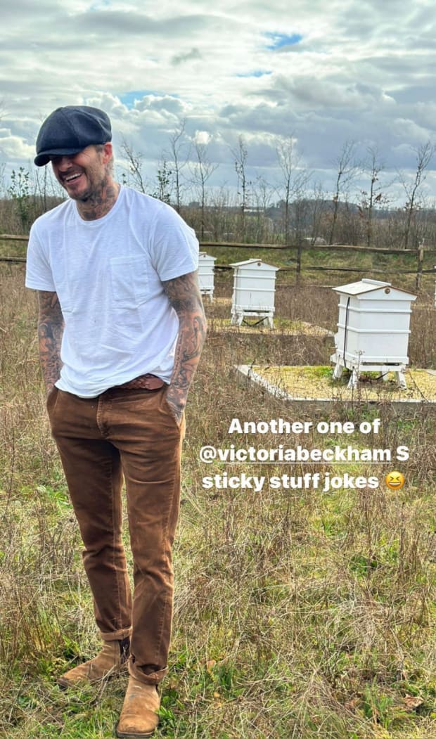 David Beckham Gets Fans Buzzing With Photo of His Beekeeping Skills | Parade | tylerpaper.com