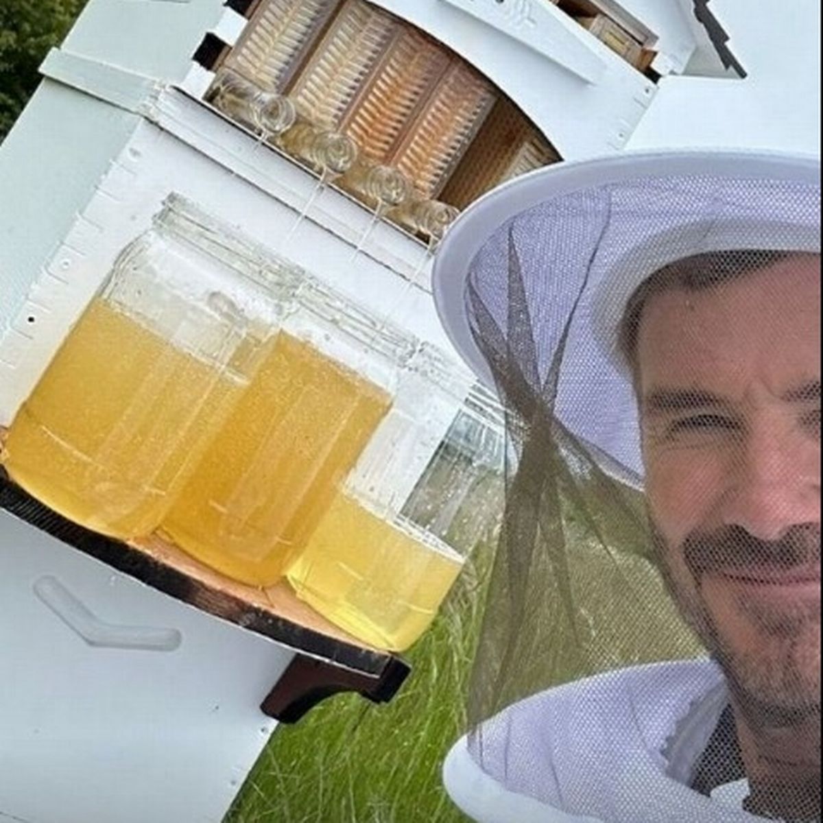 David Beckham pokes fun at wife Victoria's outfit for family beekeeping day with kids - Daily Star