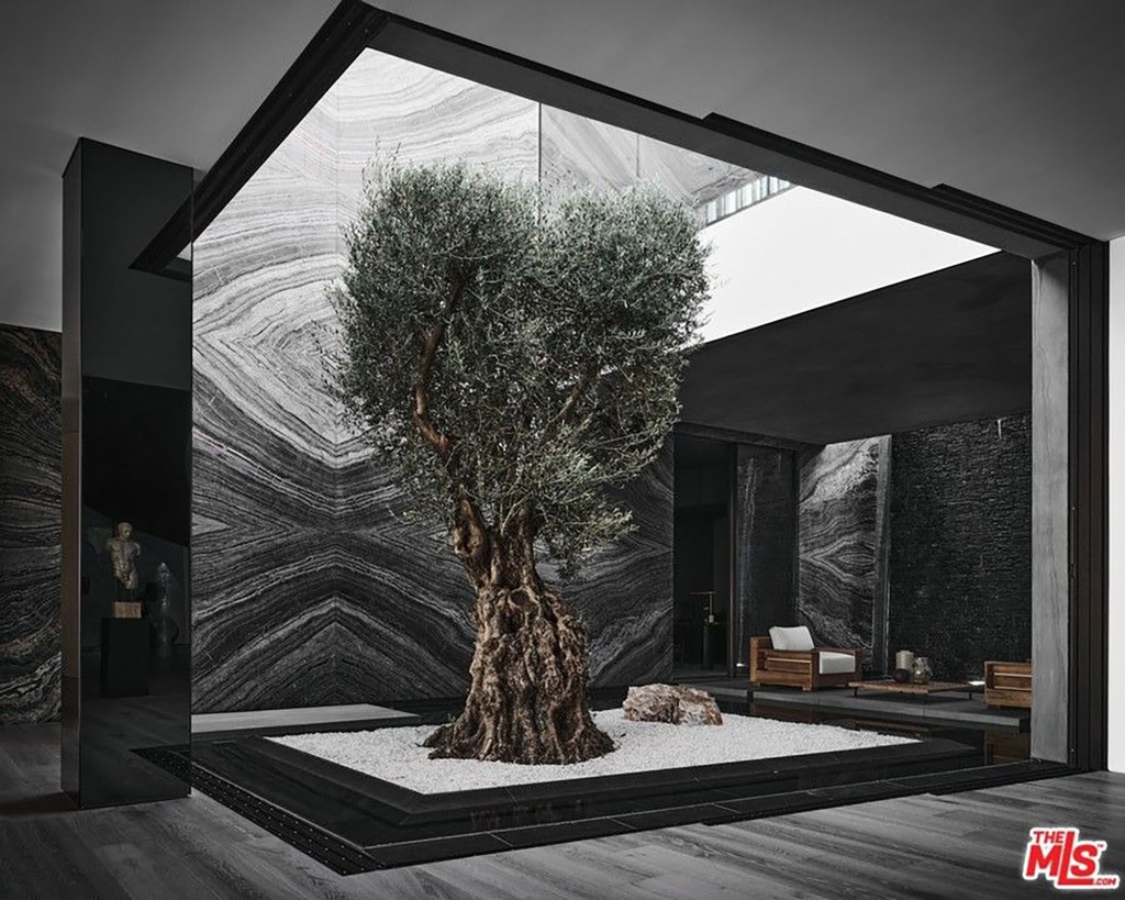 A decorative water wall with an olive tree in the center of the home.