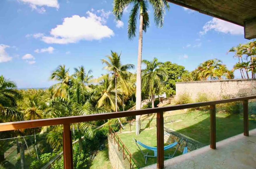 Palm trees surround the house.