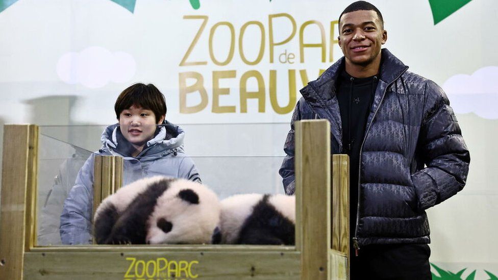 Kylian Mbappe: French footballer becomes godfather to baby pandas - BBC  Newsround