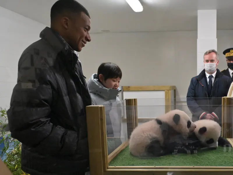 Foto: So Sweet, Mbappe Jadi Bapak Baptis Dua Bayi Panda - Dunia Bola.com