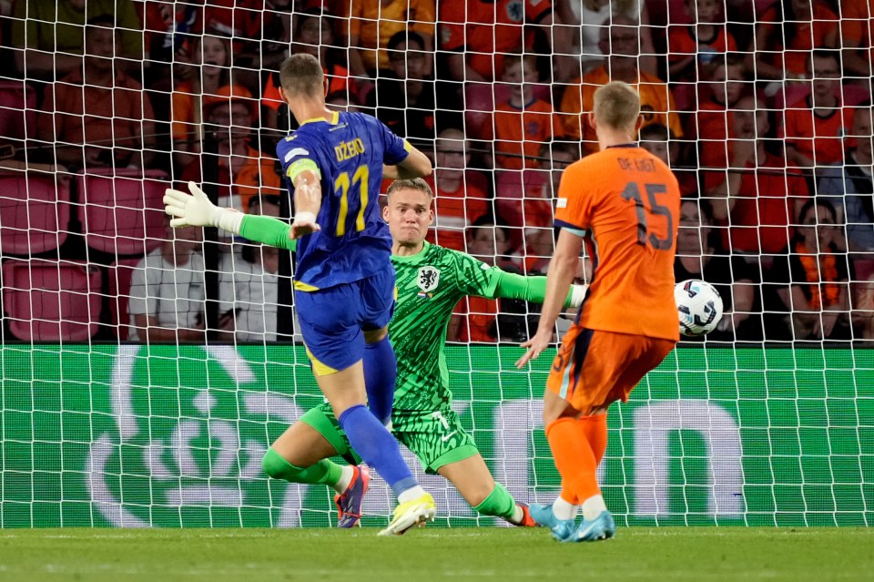 The defender was at fault for two goals against Bosnia and Herzegovina in Eindhoven